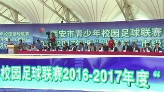 交大附中爆料新闻视频下载,视频下载背后的真相